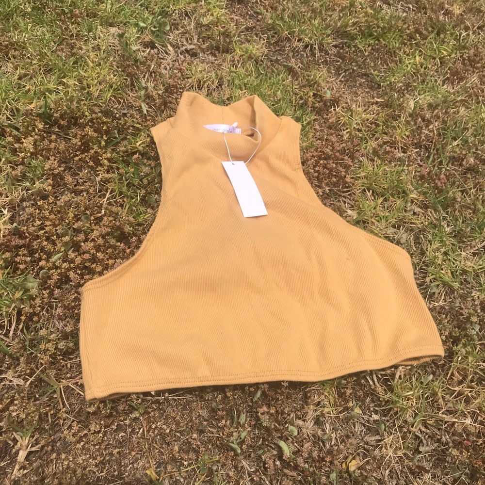 Inamorata crop top